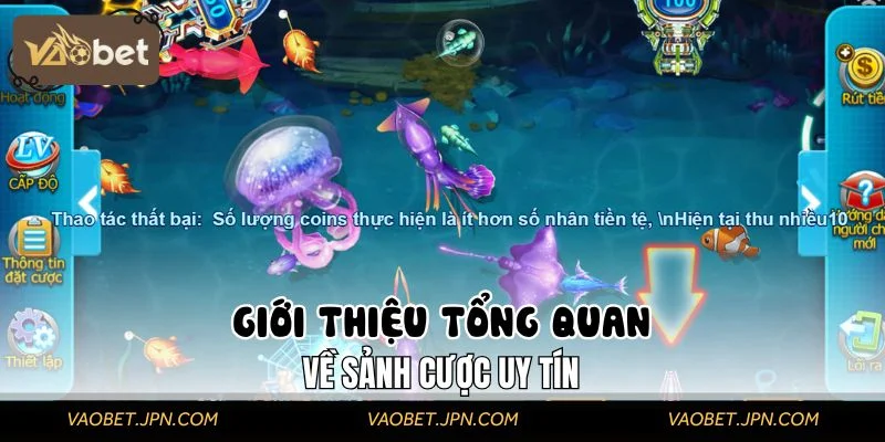 Giới thiệu tổng quan về sảnh cược uy tín