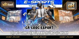 Cá Cược Esports | Kịch Tính Từng Giây, Thưởng Lớn Từng Trận