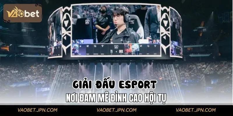 Cập nhật các giải đấu thể thao điện tử cực Hot