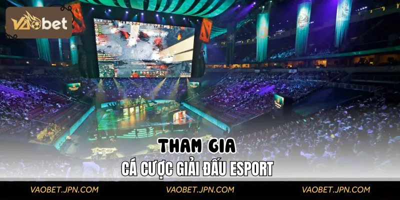 Hướng dẫn cách đặt cược giải đấu dễ dàng và an toàn