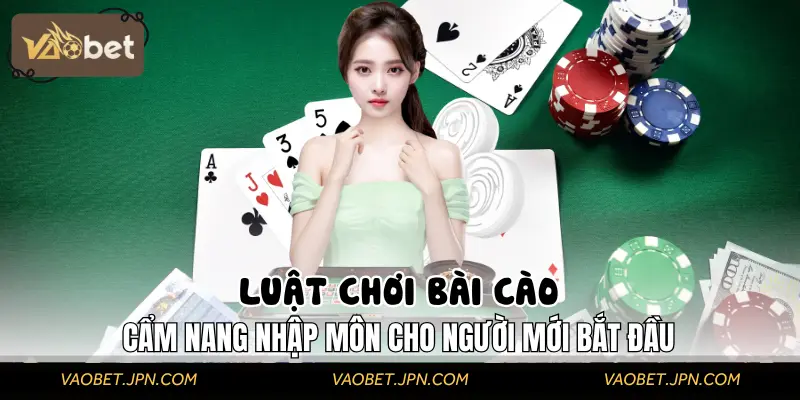 Luật Chơi Bài Cào – Hiểu Đúng Luật, Đánh Đâu Thắng Đó